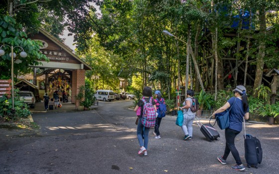 Borneo Tropical Rainforest Tour